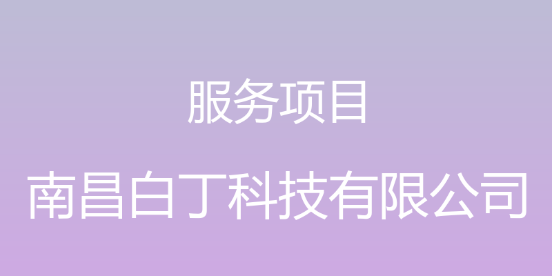 服务项目 - 南昌白丁科技有限公司