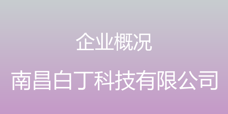 企业概况 - 南昌白丁科技有限公司